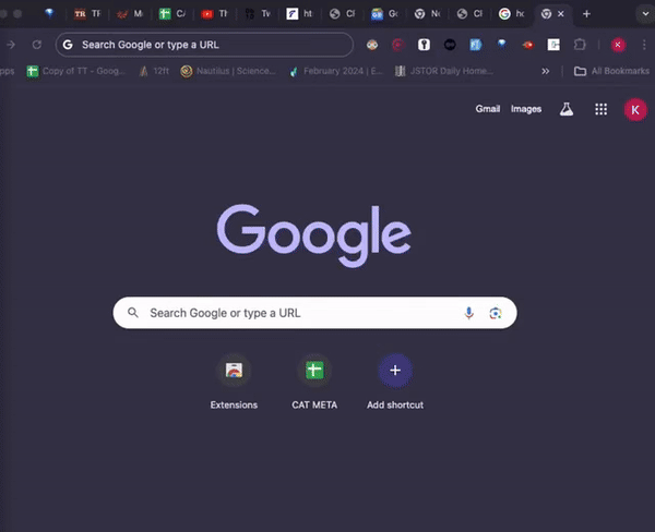 AuthBahn Execution Demo